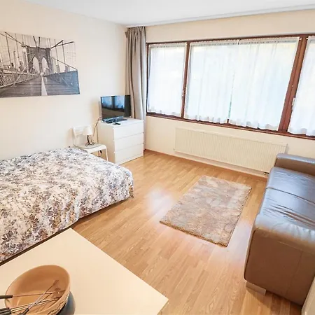 Cosy Au Centre De Apartament